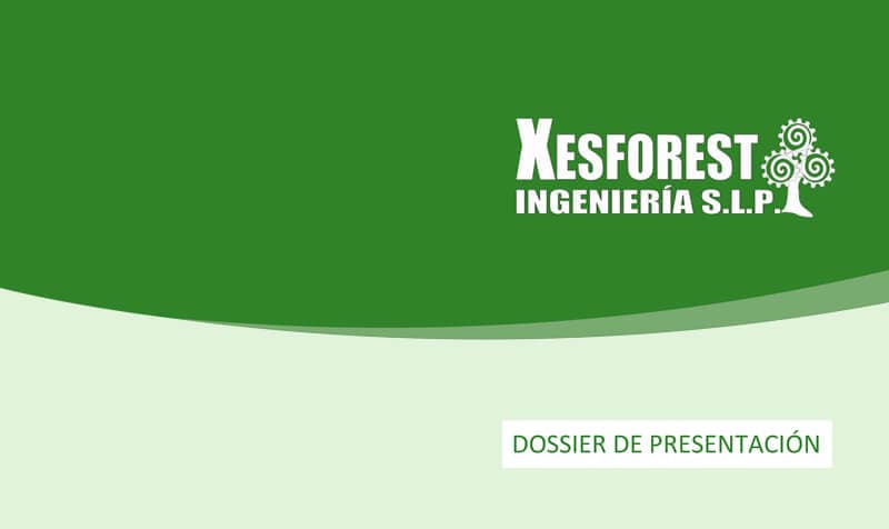 Dossier de Xesforest Ingeniería